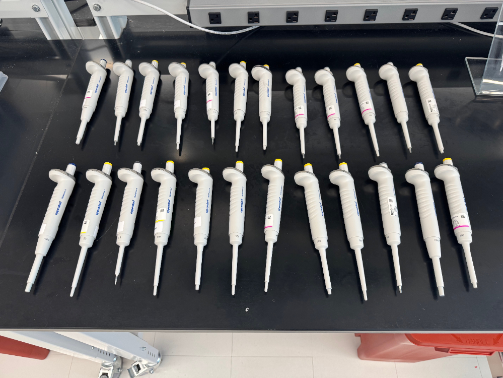 Image of Eppendorf Reference 2 Single Channel Pipettes - Quantity 24